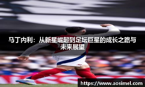 马丁内利：从新星崛起到足坛巨星的成长之路与未来展望